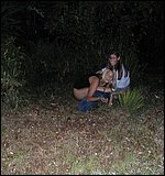 Porno Gratis